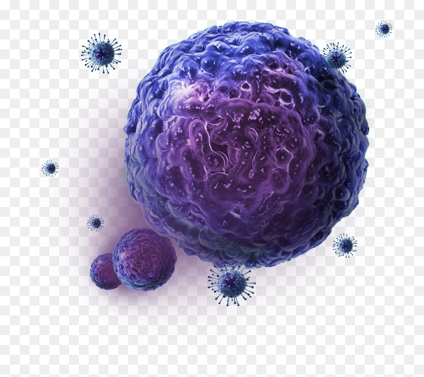Thumb Image, HD Png Download - cancer cell png