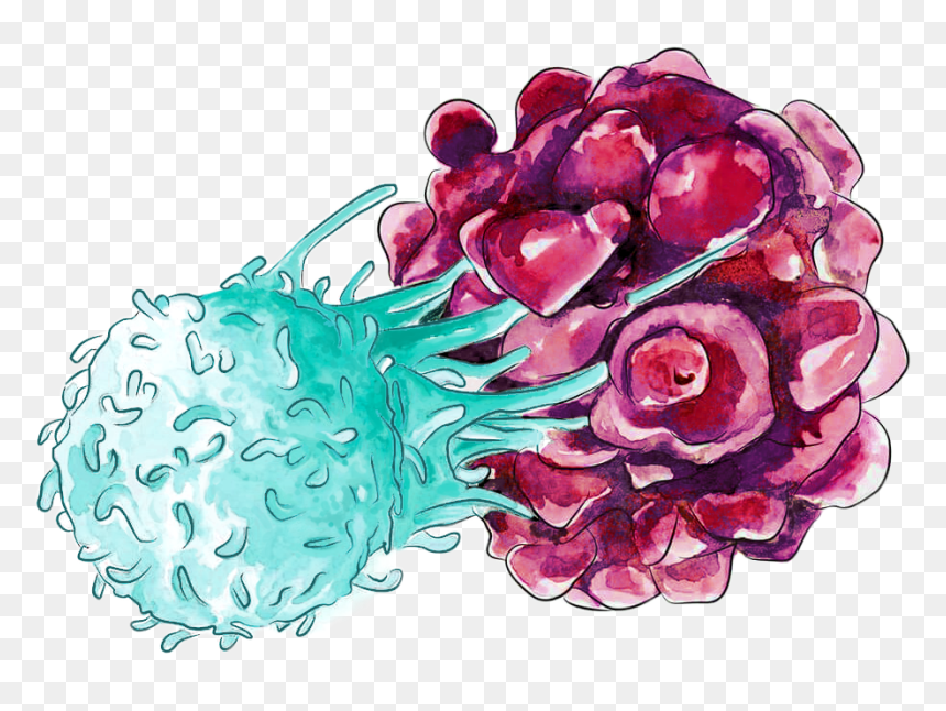 Illustration, HD Png Download - cancer cell png