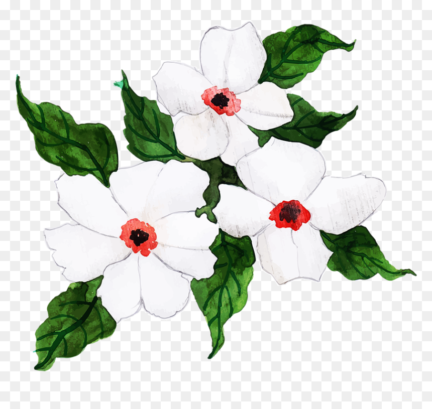 Periwinkle, HD Png Download - chinese flower png