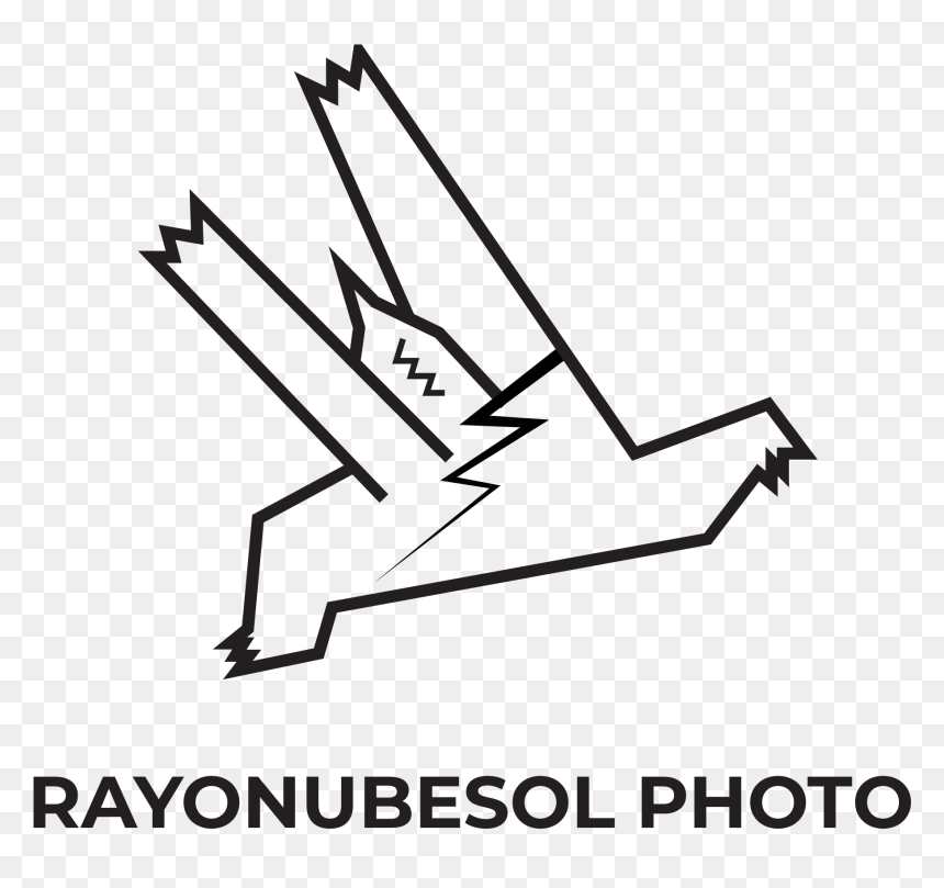Rayonubesolphoto - Line Art, HD Png Download - rayos de sol png