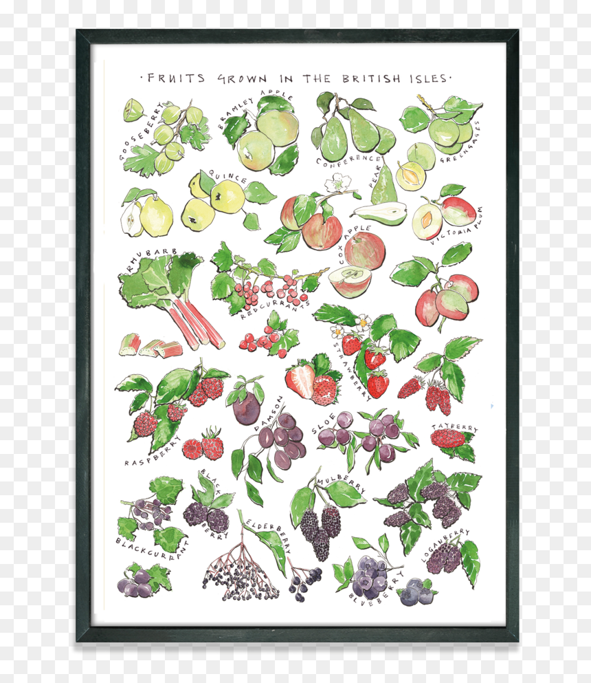 Rebsville Fruit Grown British Isles Print Cutout, HD Png Download - strawberry plant png
