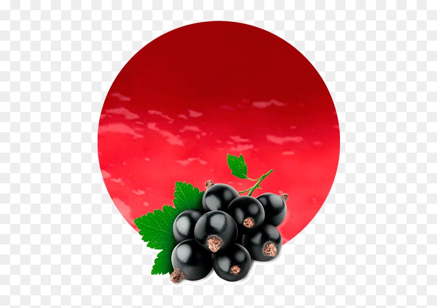 Black Currant No Background, HD Png Download - grape leaves png