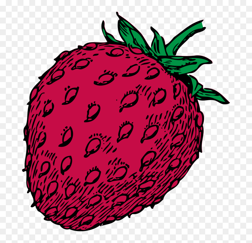 Seedless Fruit,plant,food - Strawberry Clip Art, HD Png Download - strawberry plant png