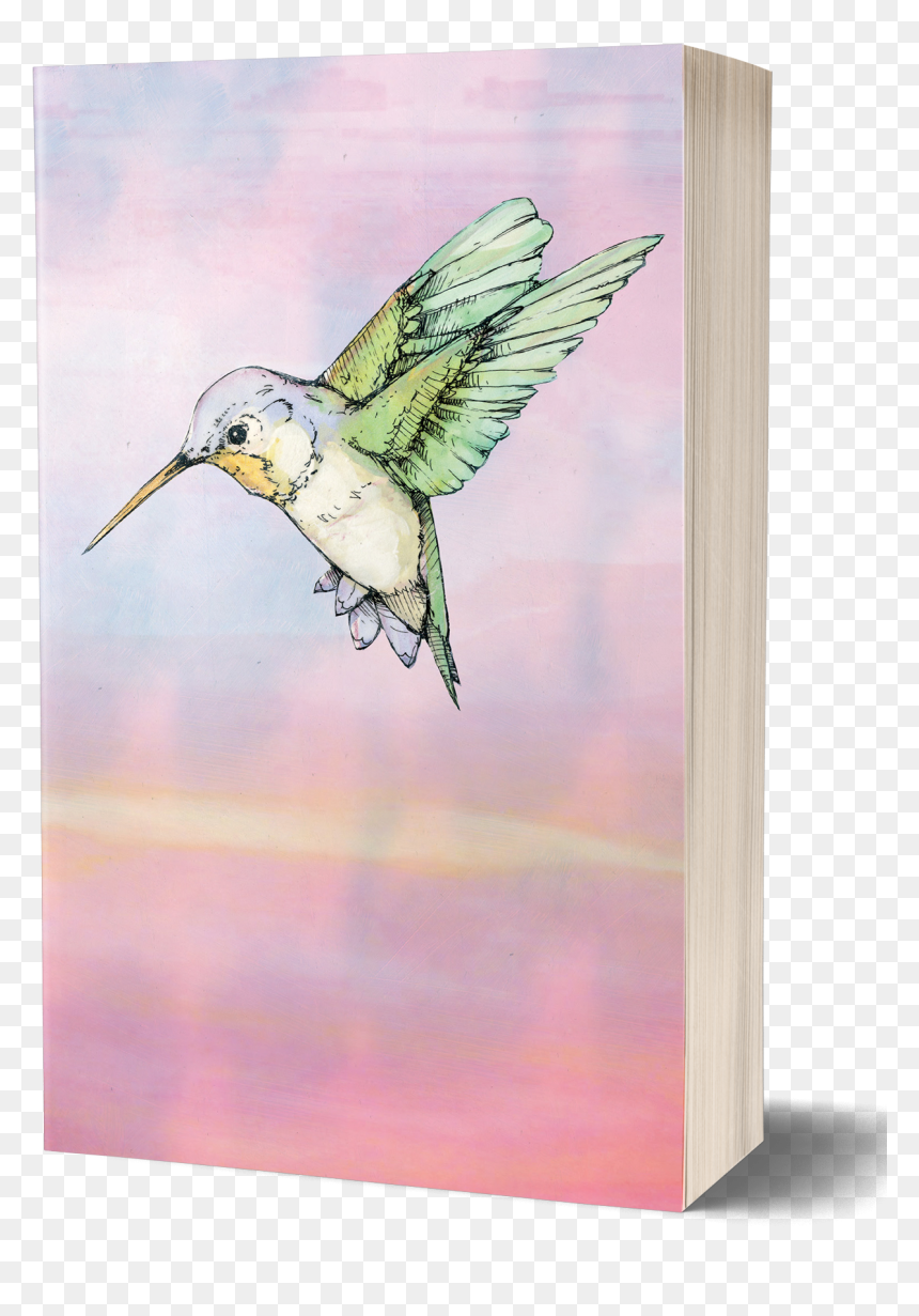 Hummingbird [red Sunset Cover - Hummingbird Art Jude Angelini Review, HD Png Download - watercolor bird png