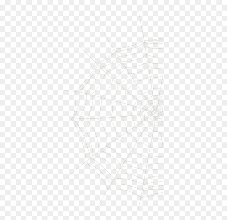 Spider Web, HD Png Download - araña png