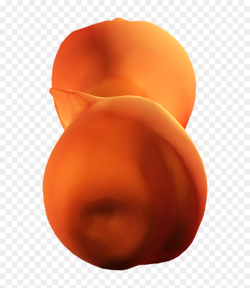 Transparent Fruit Loop Png - Pezizales, Png Download - fruit loop png