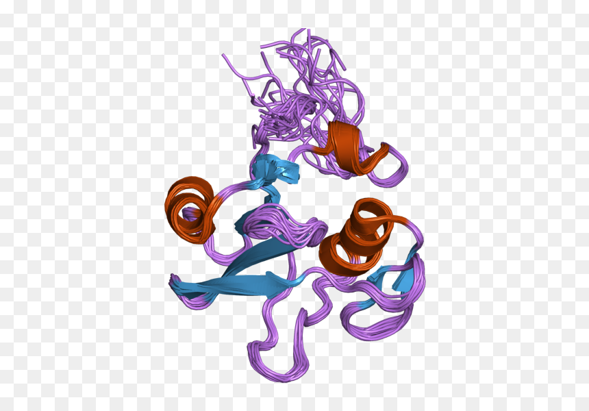 Pdb 2dcr Ebi - Illustration, HD Png Download - octopus cartoon png