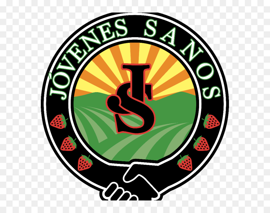 Association Of Certified Fraud Examiners, HD Png Download - jovenes png