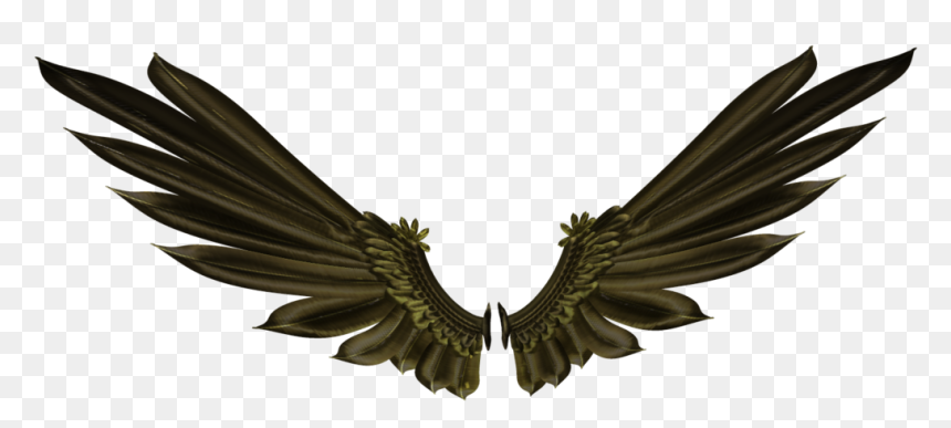 Asas Wings Black Negras Freetoedit - Transparent Background Raven Png, Png Download - alas negras png