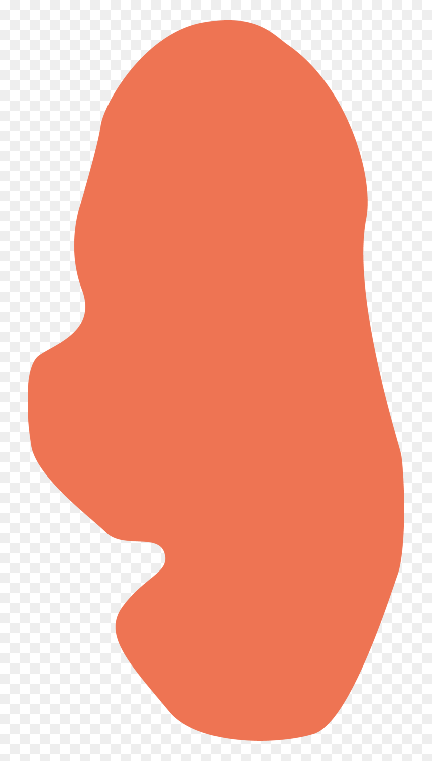Clip Art, HD Png Download - winners podium png