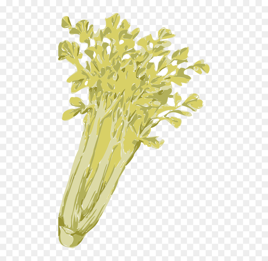 Celery - Seledri Vector Png, Transparent Png - seaweed silhouette png