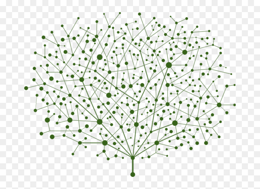 Vector Of Points And Lines Of Trees Abstract Graphics - Green Vector Tree Graphics, HD Png Download - abstract graphics png