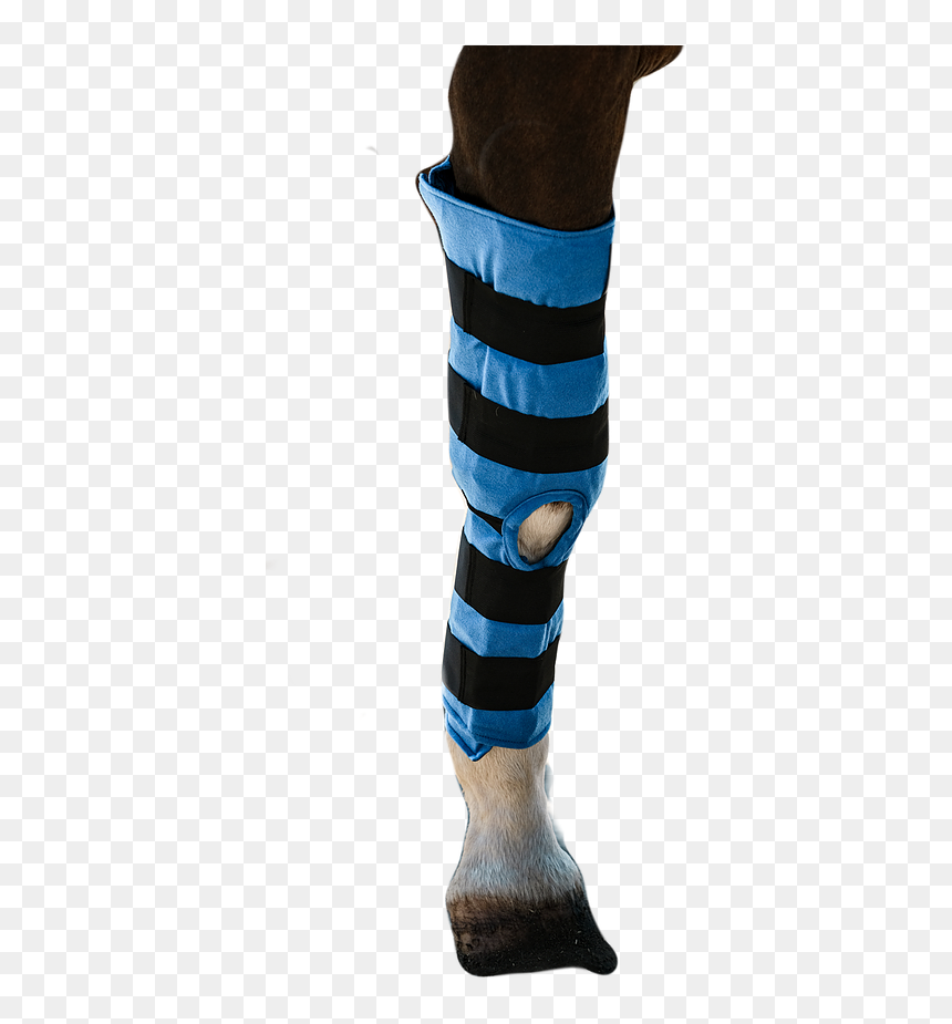 Hockey Sock, HD Png Download - $20 png