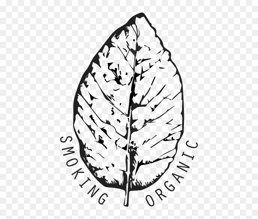 Smoking Organic - Illustration, HD Png Download - tobacco plant png