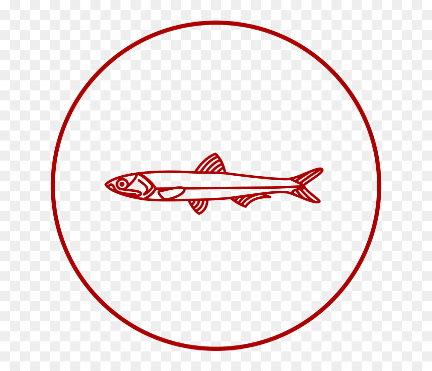 Calidad Que Ni Amarga Ni Resta Sabor Al Pescado Clipart - Constituents, HD Png Download - pescado png