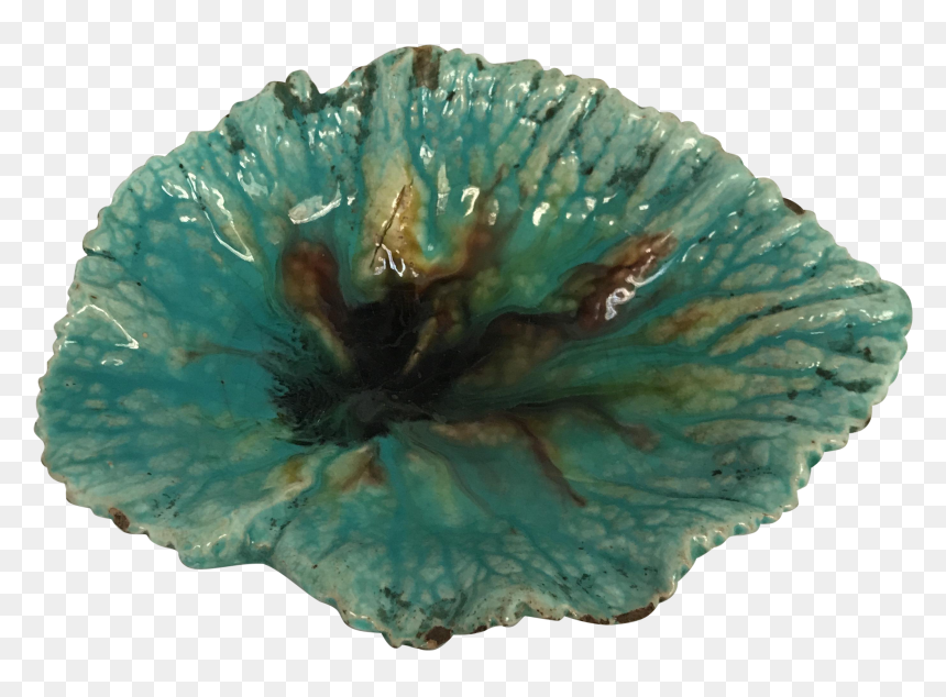 Clip Art Majolica Plate Chairish - Corn Poppy, HD Png Download - begonia png