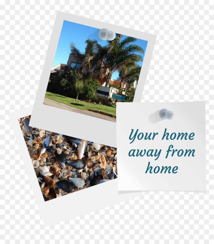 Cleaning, HD Png Download - ataud png