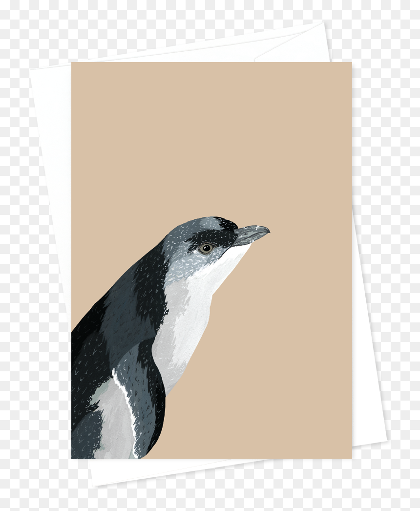 Card And Envelope Little Blue Penguin, HD Png Download - blank greeting card png