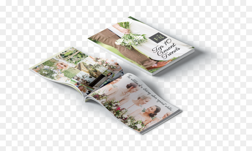 Image - Cherry Blossom, HD Png Download - field of flowers png