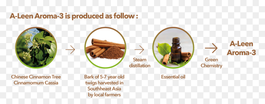 Chocolate, HD Png Download - cinnamon stick png