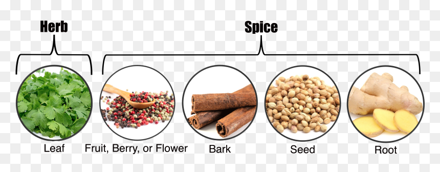 Herbs Vs Spices, HD Png Download - cinnamon stick png