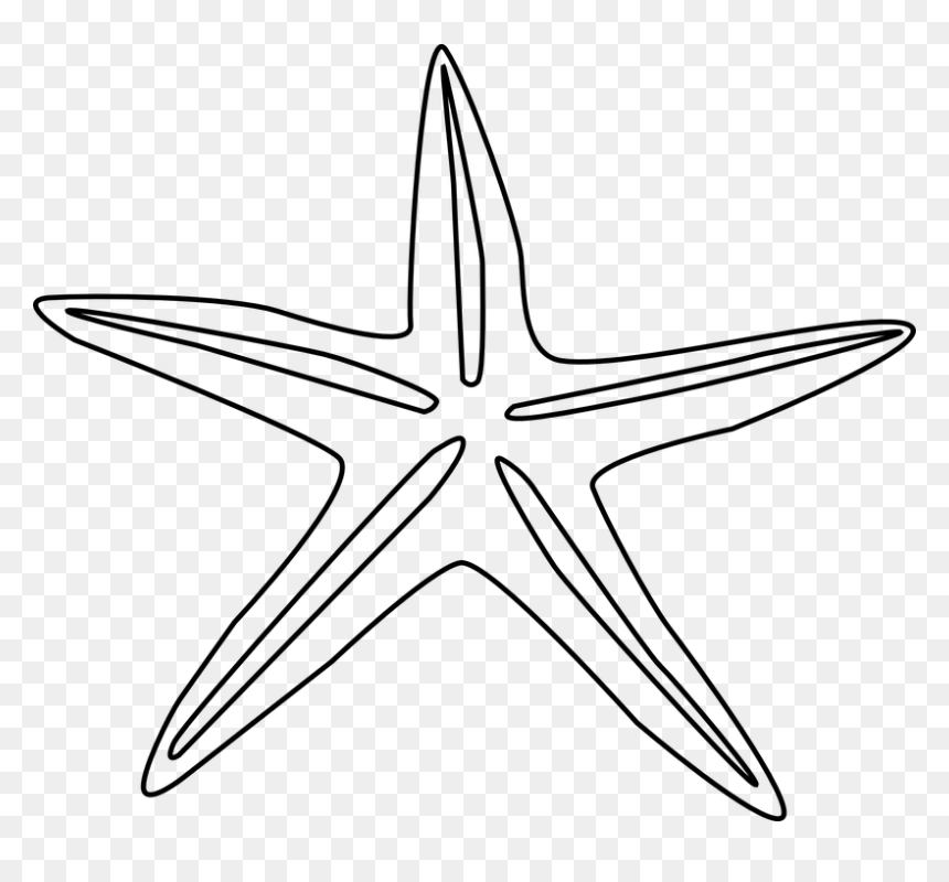 Transparent Estrella De Mar Png - Stanley Park Horse-drawn Tours, Png Download - estrella de mar png