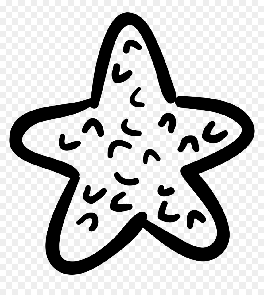 Sea Star Comments - Starfish, HD Png Download - estrella de mar png