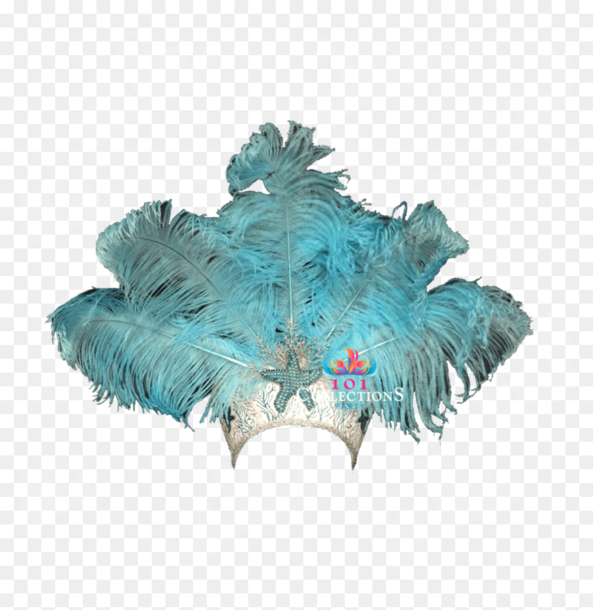 Jack Pine, HD Png Download - estrella de mar png