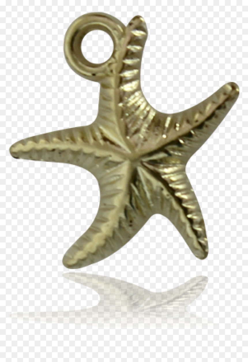 Dije Estrella De Mar Baño De Oro,3 - Starfish, HD Png Download - estrella de mar png