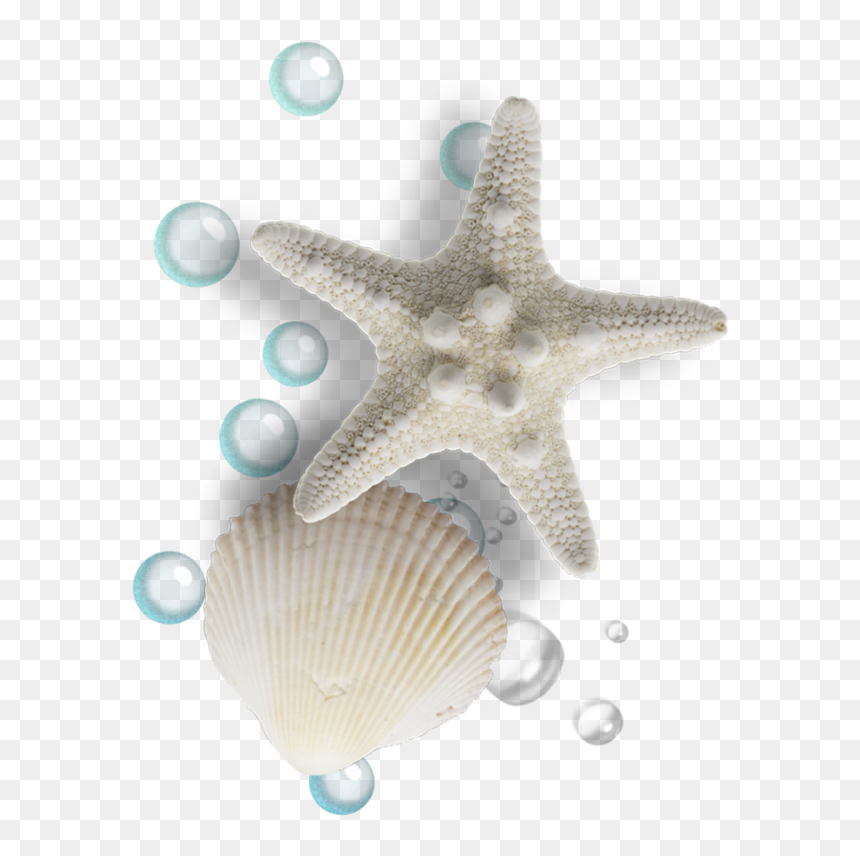 #mq #bubbles #seashell #ocean - Shell, HD Png Download - ocean bubbles png