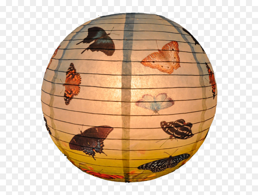 Insect, HD Png Download - japanese lantern png