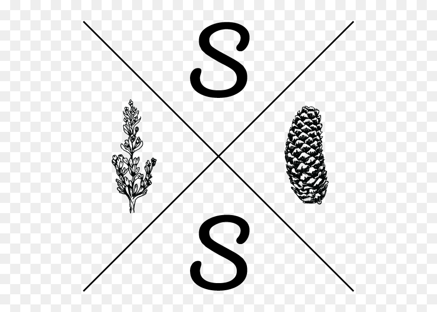 Sagespruce Logomain-02, HD Png Download - spruce png