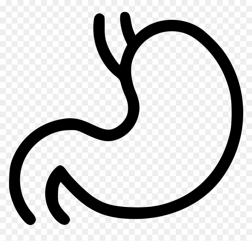 Vector Free Download Digestion Getroenterology Organ - Digestion Png, Transparent Png - organ png