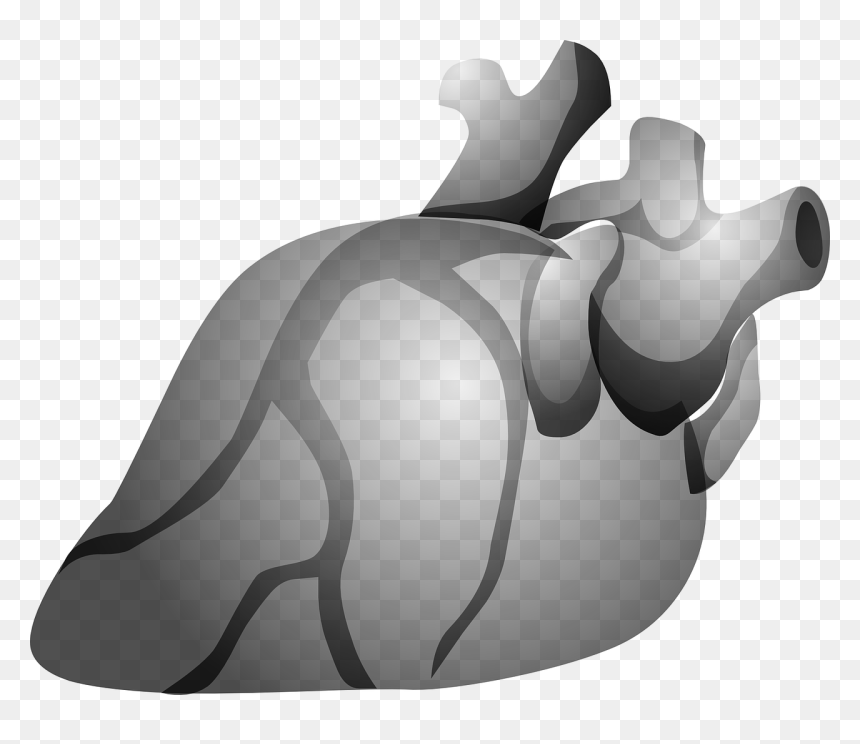 Jantung Kartun Hitam Putih, HD Png Download - organ png