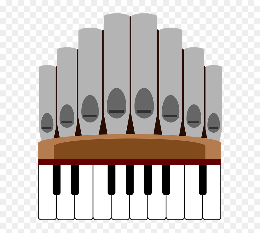 Organo De Tubos Png, Transparent Png - organ png
