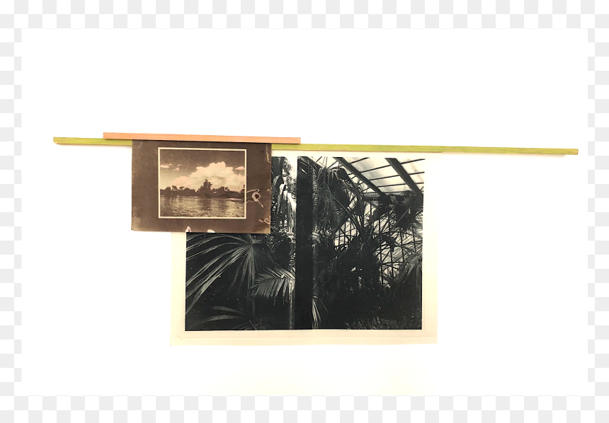 Img - Picture Frame, HD Png Download - open palm png