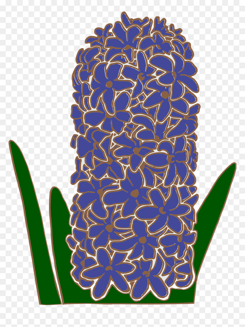 Hyacinths Clipart, HD Png Download - hyacinth png