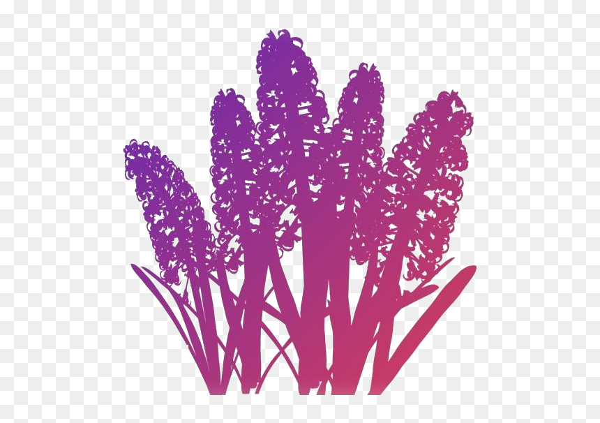 Hyacinth Flower Png Free Transparent Clipart - Flower, Png Download - hyacinth png