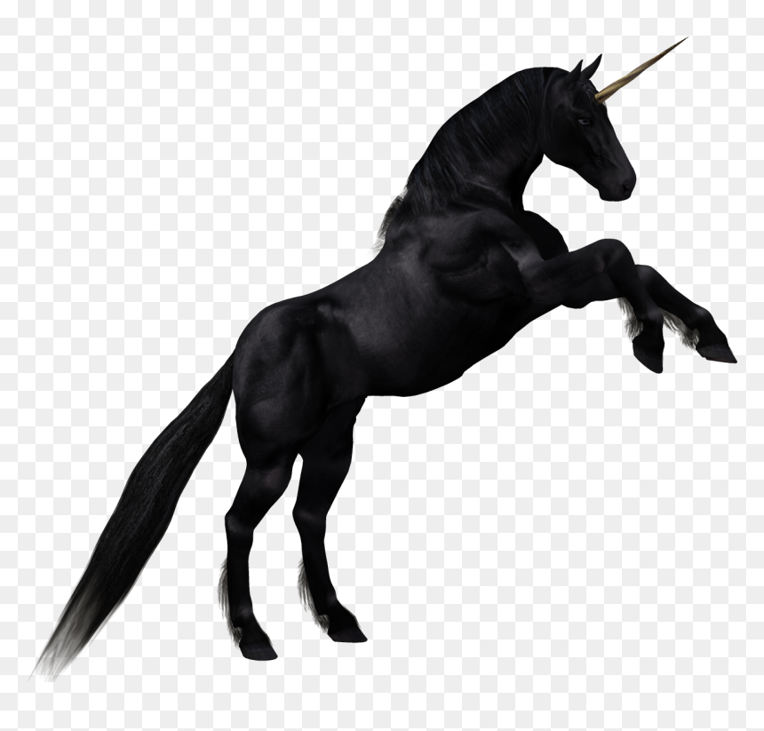 Horse Unicorn Cartoon Drawing - Cartoon Horse, HD Png Download - cartoon horse png
