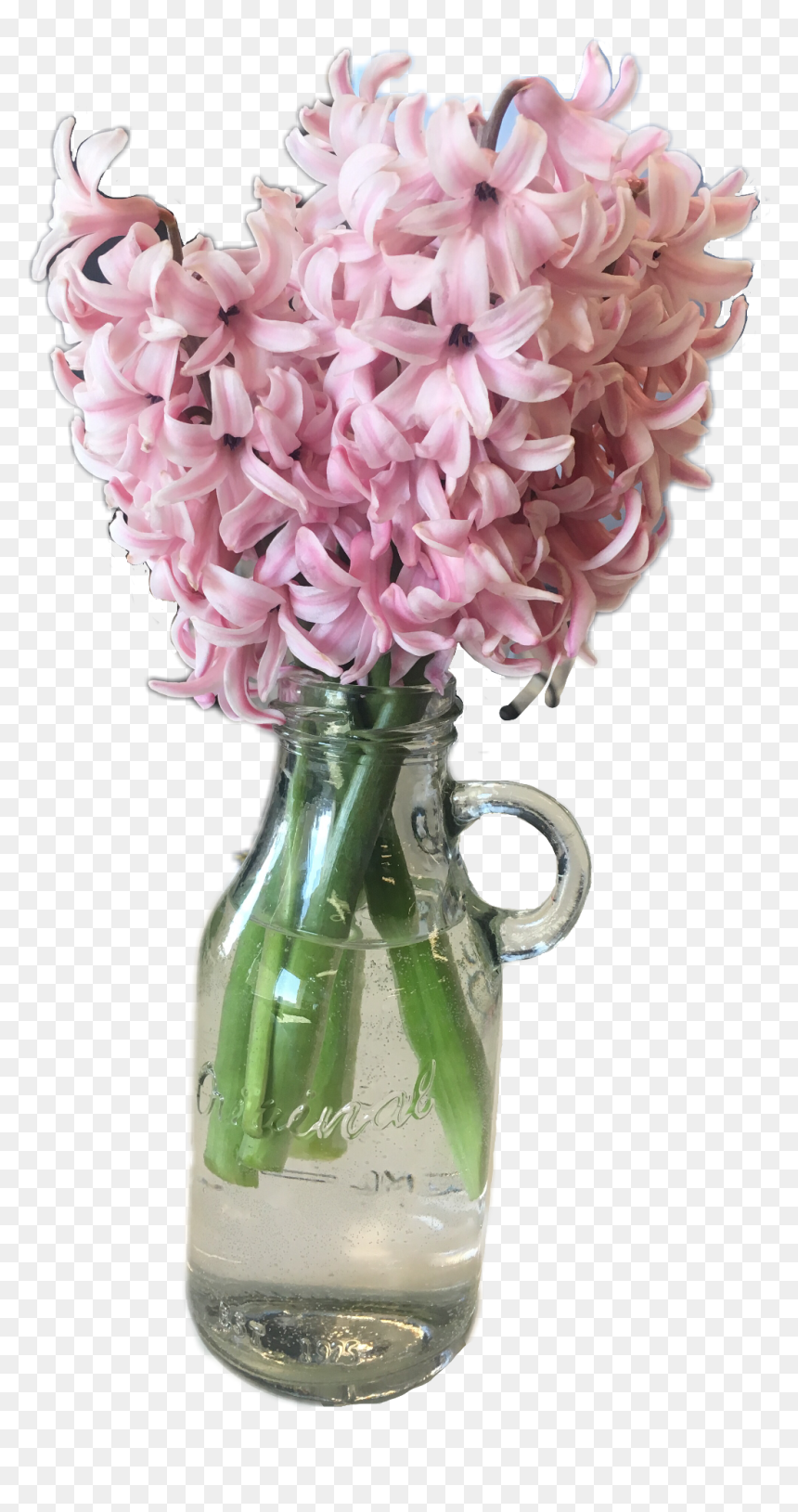 #flower #pink #hyacinth #ftestickers #spring #april - Hyacinth, HD Png Download - hyacinth png