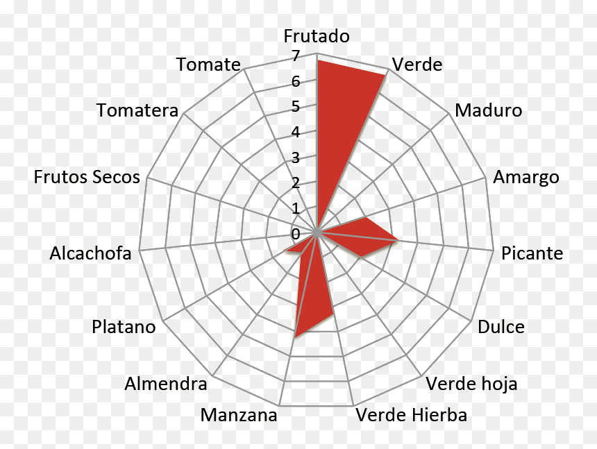 Circle, HD Png Download - platano png
