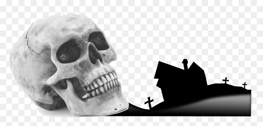 Halloween Skull Png, Transparent Png - funny skeleton png