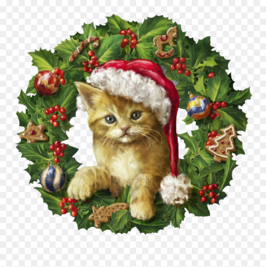 #christmas #cat #wreath - Feliz Navidad Con Gatos, HD Png Download - christmas cat png