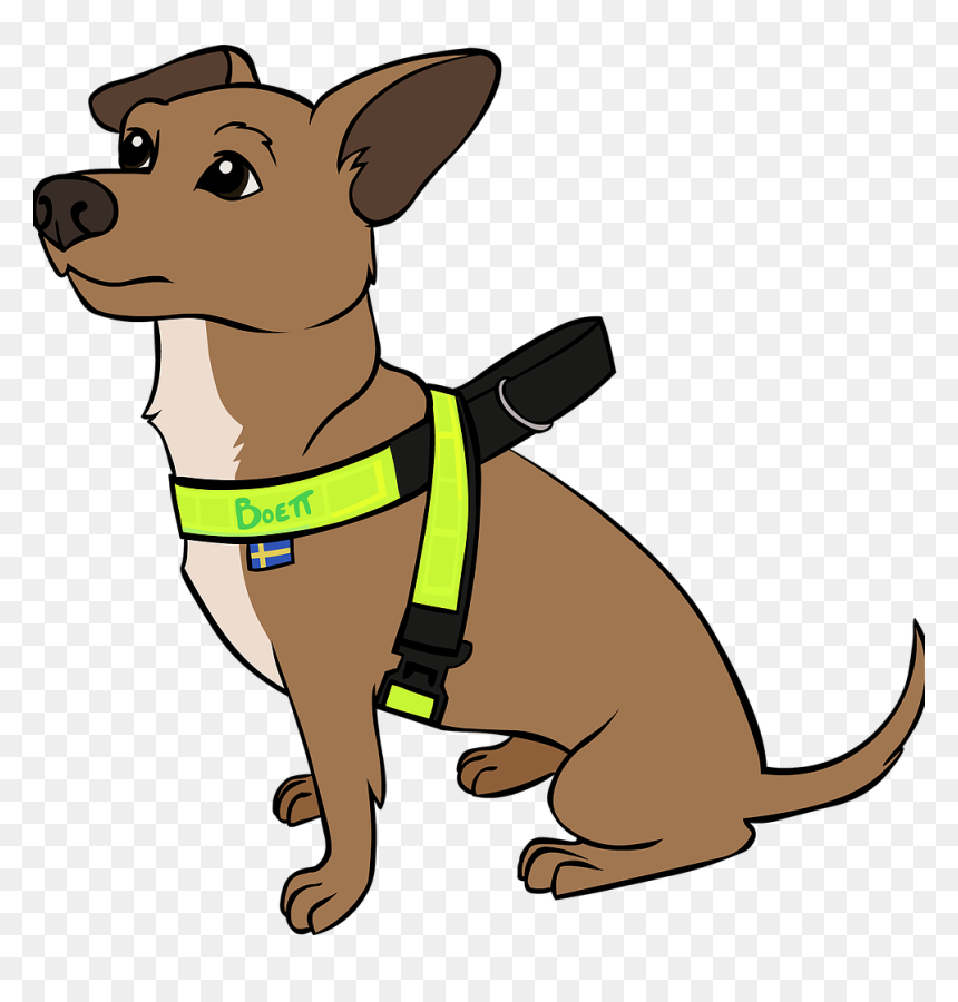 Dog Catches Something, HD Png Download - small dog png