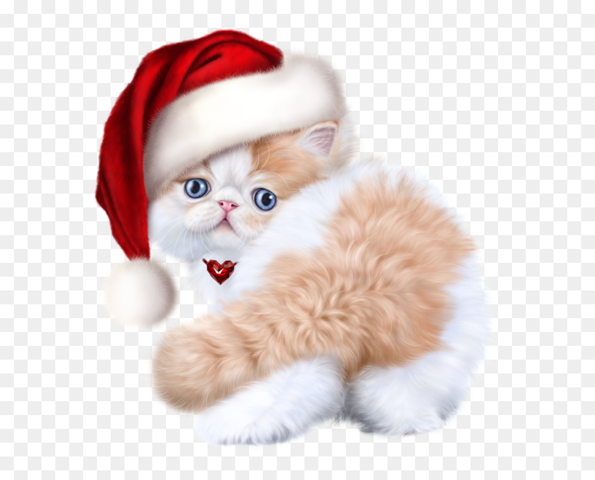 Baby Kitten Baby Cats, HD Png Download - christmas cat png