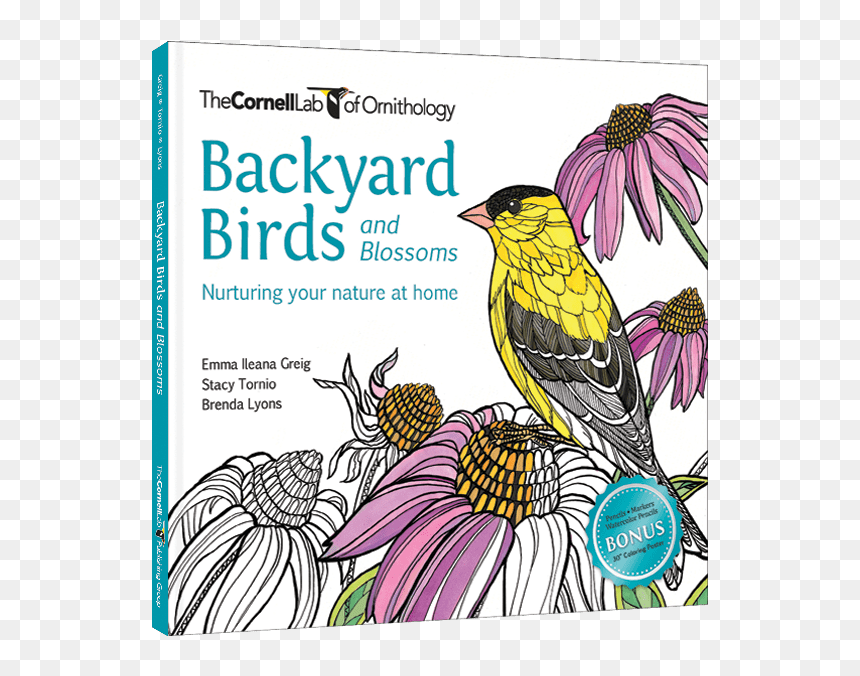 Backyard Birds And Blossoms: Nuturing Your Nature At, HD Png Download - real birds png