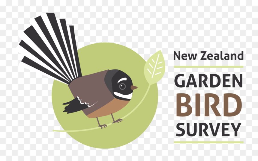 Nz Garden Bird Survey, HD Png Download - real birds png