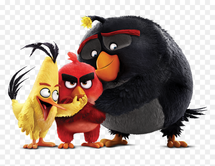 Enquire Birds - Angry Birds Wallpaper Png, Transparent Png - angry birds red png