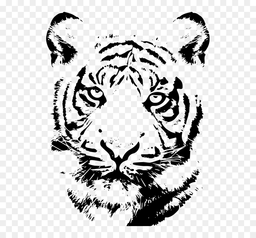 Drawing Of India Tiger Face, HD Png Download - tiger transparent png