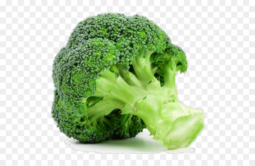 Broccoli, HD Png Download - brocolli png